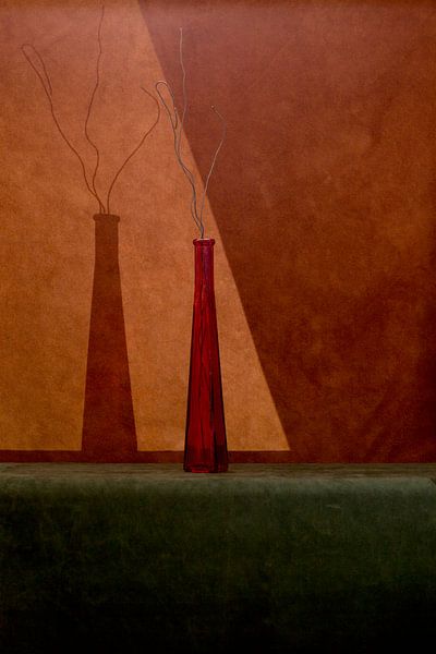 Fallen leaves by Brig Barkow