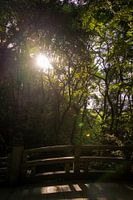 Natur in Tokio