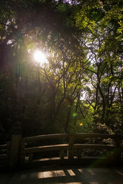 Nature in Tokyo by The Wandering Piston