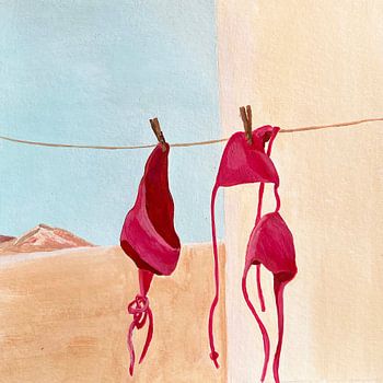 Desert Bikinis