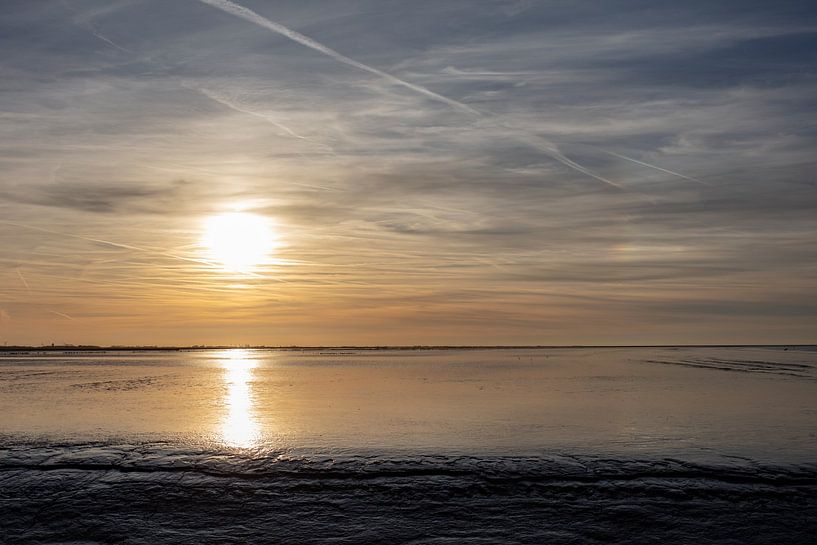 sun in the mud of the wadden sea by anne droogsma