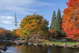 Fernsehturm, Japanischer Garten, Herbst, Hamburg von Torsten Krüger