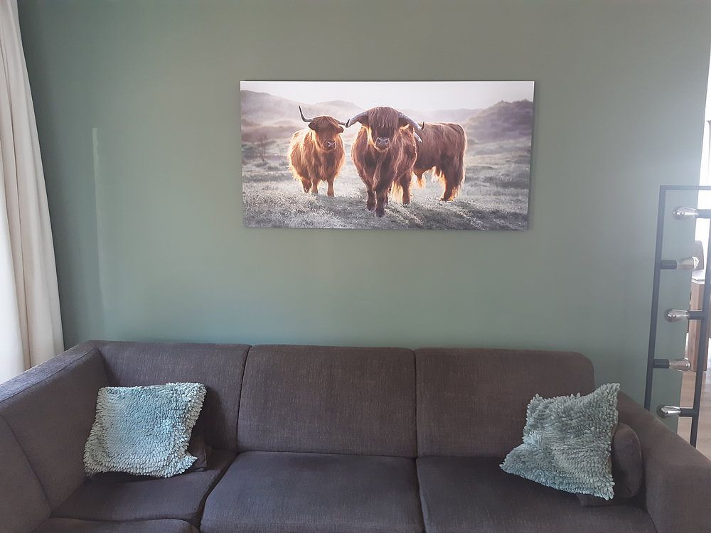 Highlanders écossais par Karel Ton