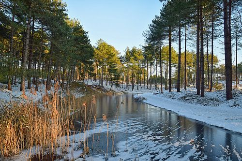 Winter in Zeeland by Zeeland op Foto
