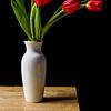 Rode Tulpen van Thomas van Galen