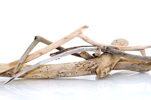 Bois flottés