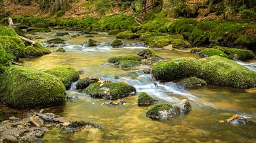 River Ohe in the Bavarian Forest (Bavaria) by Tobias Luxberg