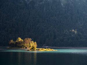Lichtinsel am Eibsee