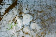 Waterreflectie Boom | Natuurfotografie van Nanda Bussers thumbnail