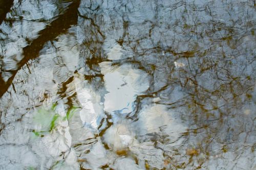 Waterreflectie Boom | Natuurfotografie