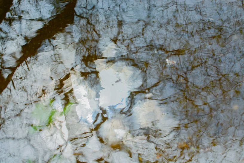 Wasserspiegelung Baum | Naturfotografie von Nanda Bussers