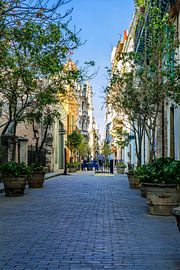 Typical street in Havana, Cuba by Joke Van Eeghem