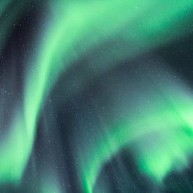 Dancing northern lights (2) by Ann Cools