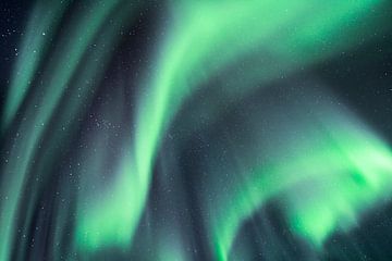 Dancing northern lights (2) by Ann Cools