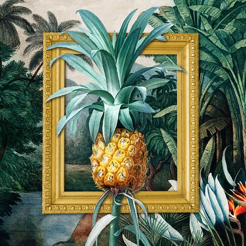 L'ananas Tropical von Marja van den Hurk
