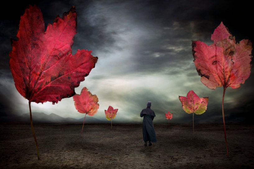Autumn walk. by Pat Desmet