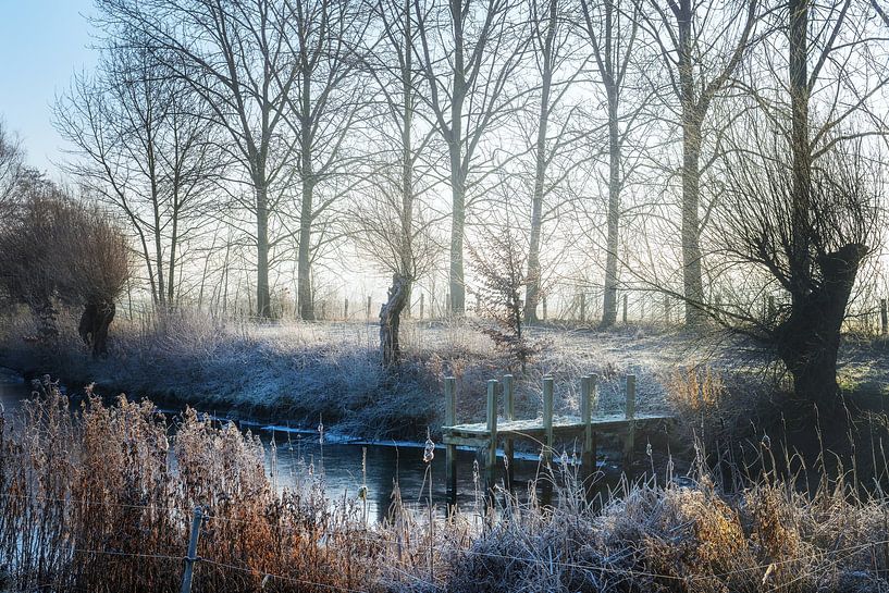 Holzsteg in einem zugefrorenen Teich, umgeben von Bäumen und Schilf mit von Maren Winter