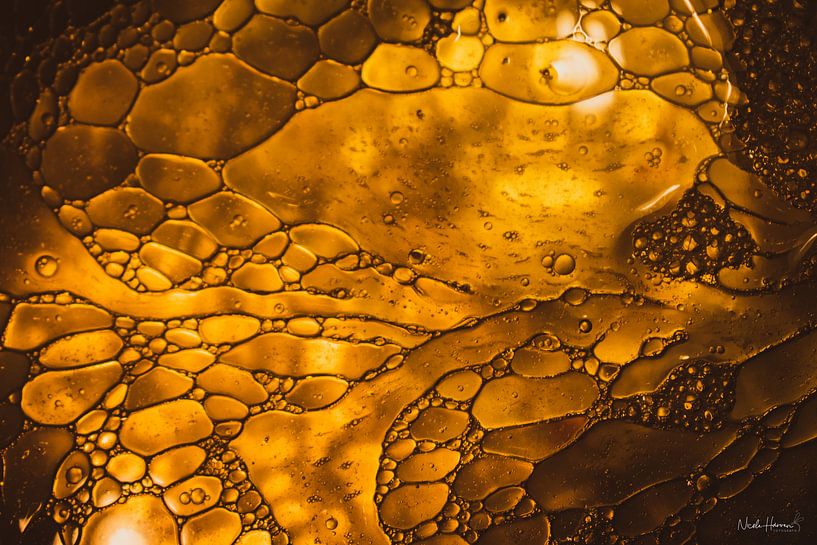 golden bubble by Nicole Harren