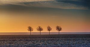 Sunset over the trees von Reint van Wijk