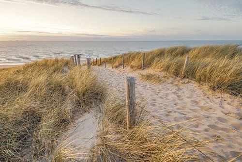 Plage et mer sur la côte néerlandaise
