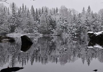 Une première neige sur le lac sur Claude Laprise