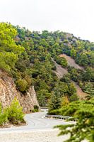 Berglandschap van Grieks - Cyprus: oase van rust en groen, Griekenland