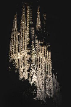 Die Sagrada Família - Barcelona bei Nacht I von MADK