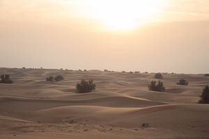 Dubai Desert IV 