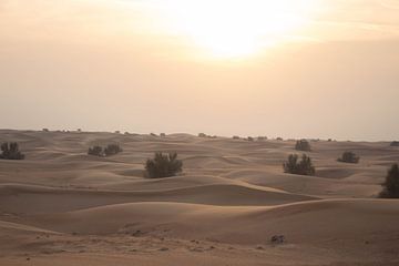 Dubai Desert IV  van Chantal Cornet