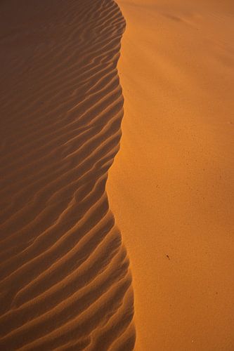 Les dunes du Sahara vues du ciel