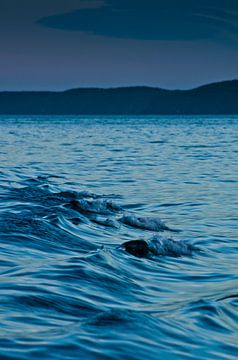 Waves near Glory Cove | Nieuw Zeeland van Ricardo Bouman