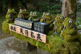 Japan: Row of stone frogs covered in moss in front of temple by Frans Rombout