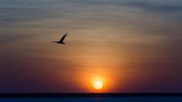 Sonnenuntergang in Darwin