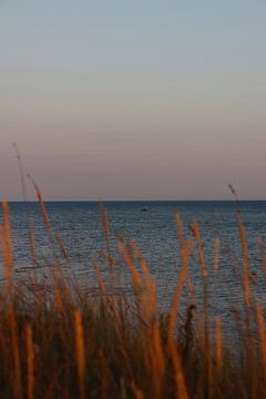 A boat in the sea seen from the dunes by phototinke
