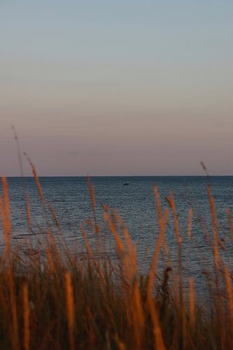 A boat in the sea seen from the dunes