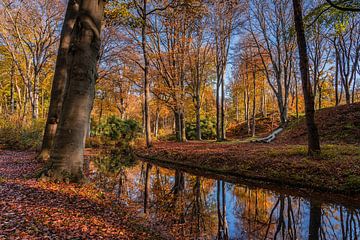 Herbst in Elswout von Jeroen de Jongh