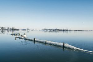 Eis auf Zäunen auf der IJssel an einem kalten Wintermorgen