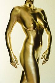 Vrouwelijk naakt in goud van Jörg B. Schubert