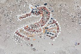 Am Strand von Ahrenshoop (Fischland / Darß)