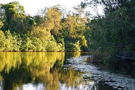 Terug naar het meer van Cootharaba van Frank's Awesome Travels