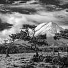 Le volcan Pico sur l'île de Pico Açores sur Lex van Doorn