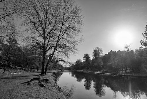 Amsterdamse waterleidingduinen