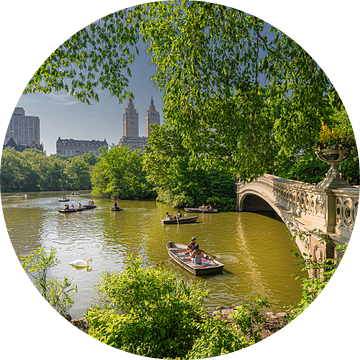 New York Central Park Bow Bridge van Kurt Krause