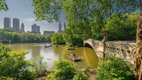 New York Central Park Bow Bridge