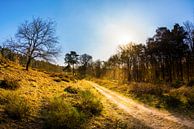 Sonnenaufgang in der Natur van Günter Albers thumbnail