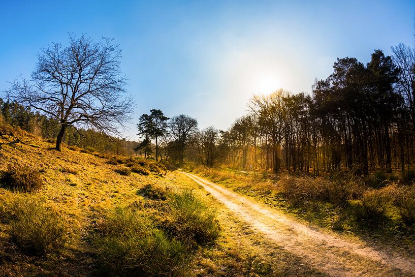 Sonnenaufgang in der Natur van Günter Albers