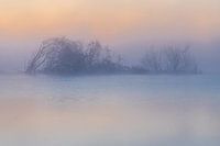 Morgengrauen, vor Sonnenaufgang, rosa, blau, Nebel