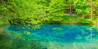 de Blautopf in Blaubeuren van Walter G. Allgöwer thumbnail