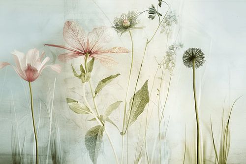 Veld met wilde bloemen in Japandi stijl