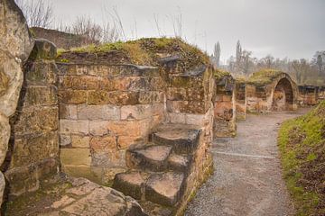 Middeleeuwse Kasteelruïne Valkenburg, Nederland van Janet Kleene